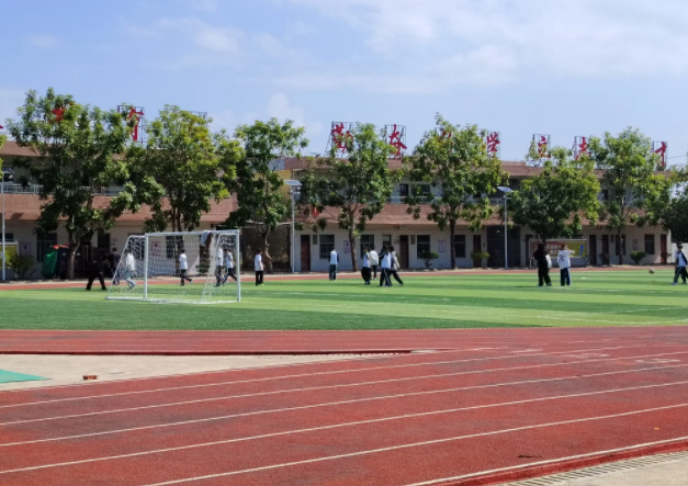 积极构建德智体美劳全面培育的教育体系